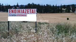 Αγροτεμάχια 5.321 τ.μ. για ενοικίαση