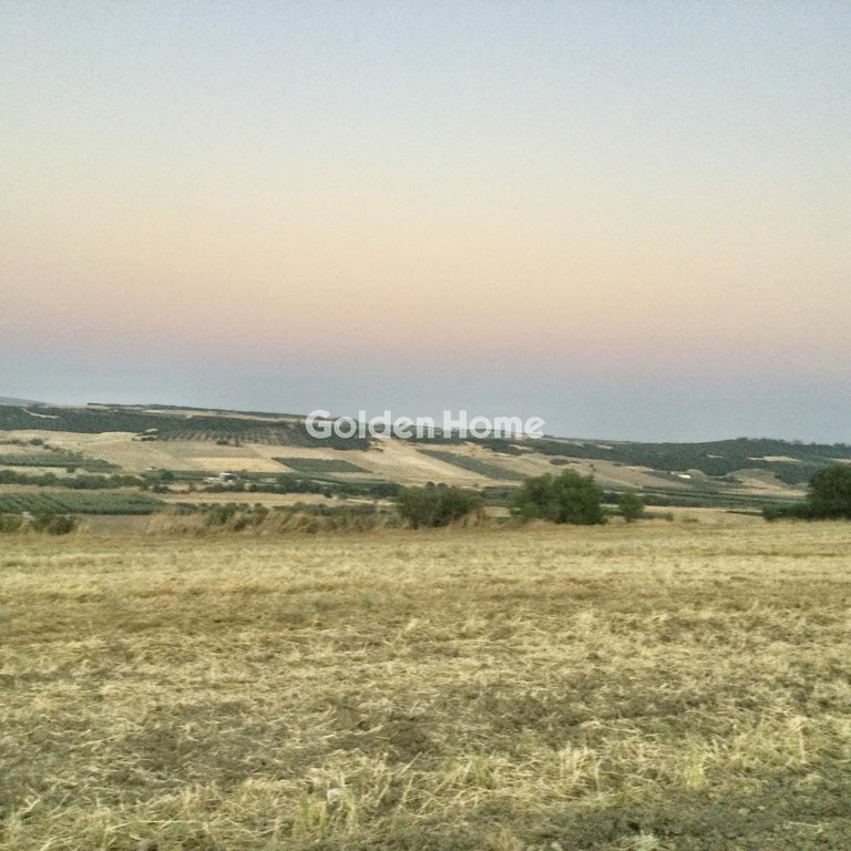 Αγροτεμάχια 34.000 τ.μ. προς πώληση, Νεοχωράκιον