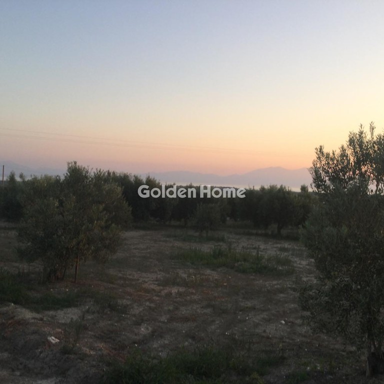 Αγροτεμάχια 10.000 τ.μ. προς πώληση, Νεοχωράκιον