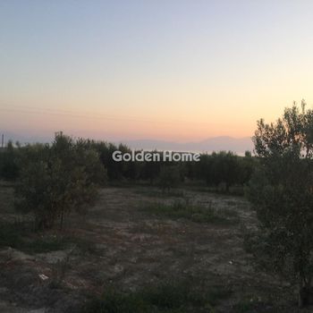Parcel 10.000 sqm for sale