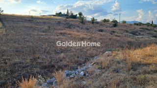 Οικόπεδο 2.730 τ.μ. για πώληση, Φωκίδα, Γαλαξίδι-thumb-2