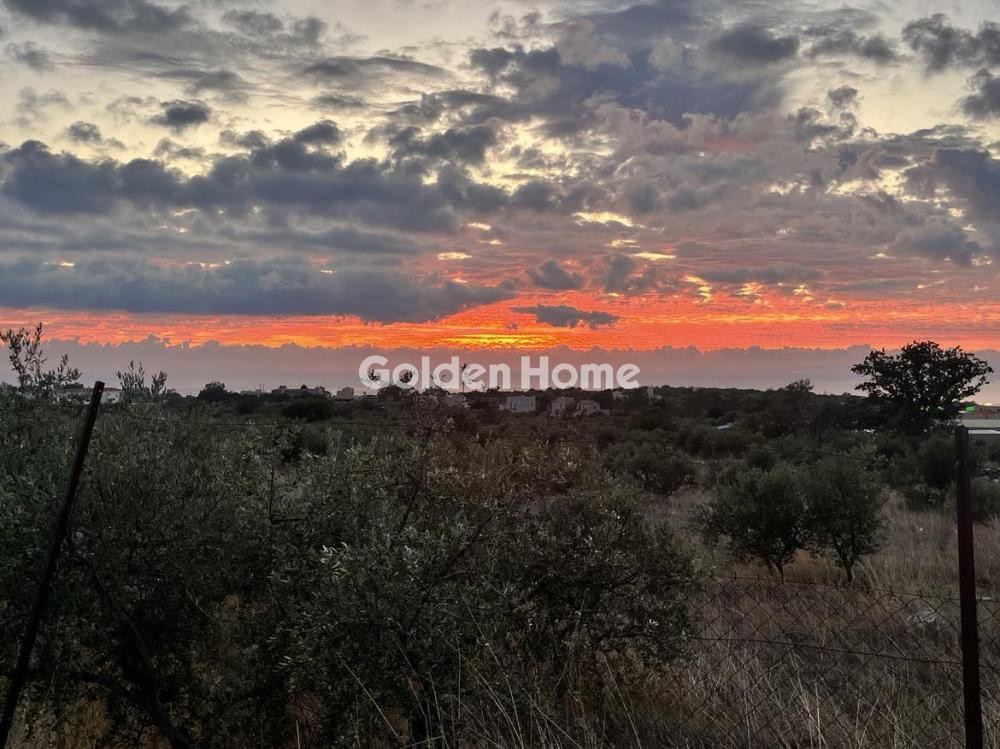 Οικόπεδο 4.035 τ.μ. προς πώληση, Σωτήρας Οιτύλου