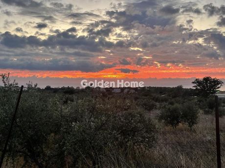 Οικόπεδο 4.035 τ.μ. προς πώληση