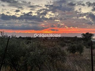 Οικόπεδο 4.035 τ.μ. για πώληση