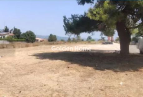 Αγροτεμάχια 1.802 τ.μ. για πώληση