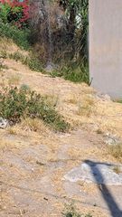 Οικόπεδο 187 τ.μ. για πώληση, Φωκίδα, Γαλαξίδι-thumb-3