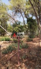 Οικόπεδο 548,25 τ.μ. για πώληση, Αττική - Υπόλοιπο, Ραφήνα-thumb-1