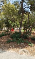 Οικόπεδο 548,25 τ.μ. για πώληση, Αττική - Υπόλοιπο, Ραφήνα-thumb-2