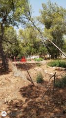 Οικόπεδο 548,25 τ.μ. για πώληση, Αττική - Υπόλοιπο, Ραφήνα-thumb-3