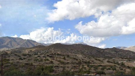 Land plot 13.000 sqm for sale