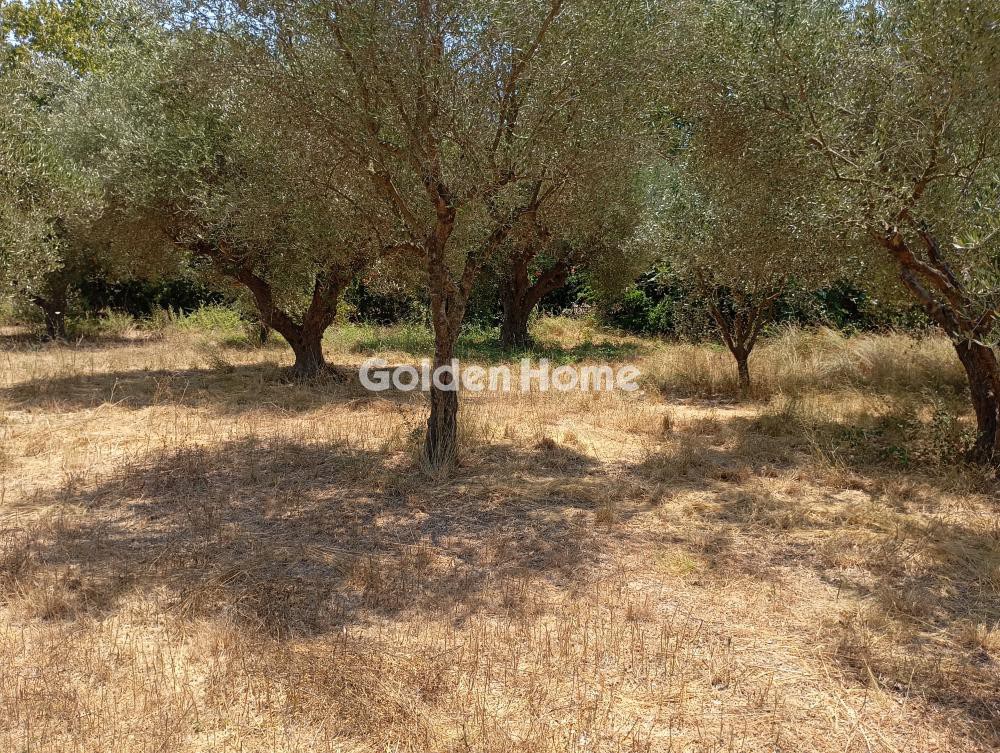 Μονοκατοικία 360 τ.μ. προς πώληση, Λασταίικα