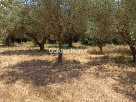Μονοκατοικία 360 τ.μ. προς πώληση