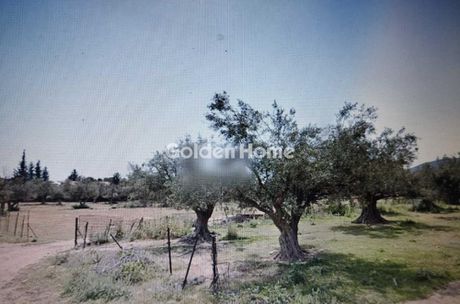 Οικόπεδο 667τ.μ. για πώληση-Καματερό » Γεροβουνό