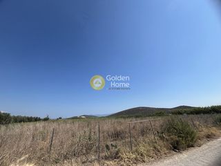 Αγροτεμάχια 3.500 τ.μ. για πώληση