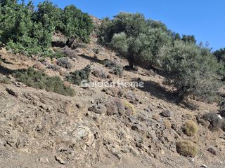 Οικόπεδο 5.270 τ.μ. για πώληση