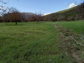 Αγροτεμάχια 11.784 τ.μ. για πώληση, Μεσσηνία, Θουρία-thumb-7