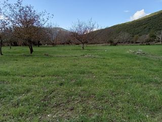 Αγροτεμάχια 11.784 τ.μ. για πώληση, Μεσσηνία, Θουρία-thumb-9