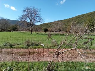 Αγροτεμάχια 11.784 τ.μ. για πώληση, Μεσσηνία, Θουρία-thumb-29