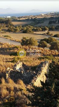 Land plot 46.600 sqm for sale