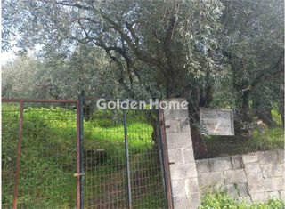 Αγροτεμάχια 6.000 τ.μ. για πώληση