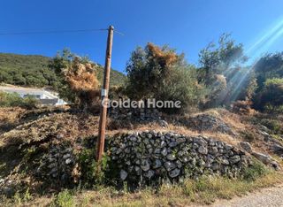 Αγροτεμάχια 2.385 τ.μ. για πώληση