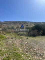 Οικόπεδο 3.500 τ.μ. για πώληση