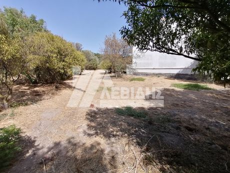 Οικόπεδο 1.190τ.μ. για πώληση-Χίος » Πόλη χίου