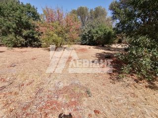 Οικόπεδο 1.190 τ.μ. για πώληση, Ν. Χίου, Χίος-thumb-2
