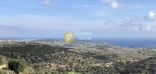 Αγροτεμάχια 9.600 τ.μ. για πώληση