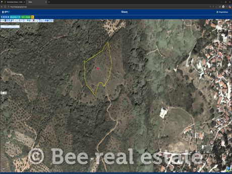 Parcel 8.080sqm for sale-Argalasti » Metochi