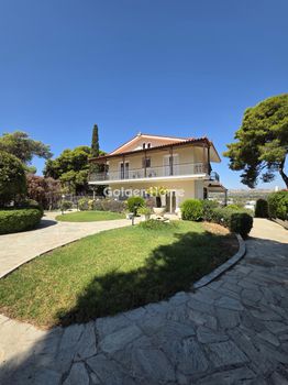 Μεζονέτα 320τ.μ. για πώληση-Σπάτα » Ήμερος πεύκος