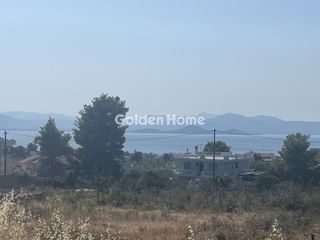Οικόπεδο 4.000 τ.μ. για πώληση