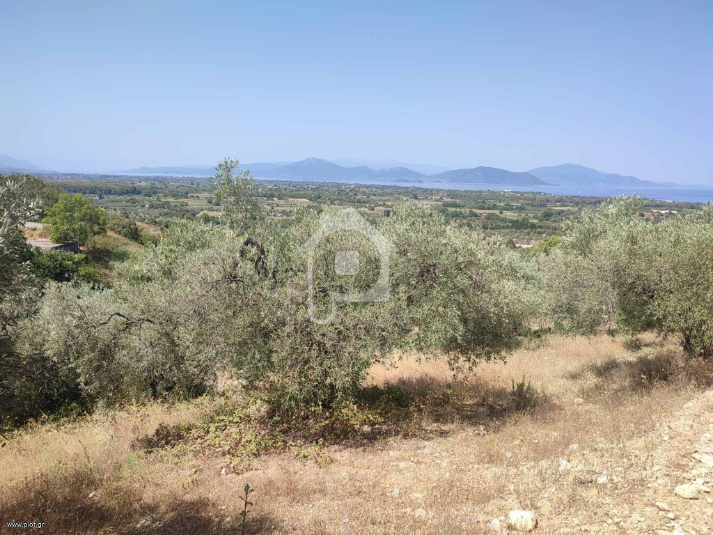 Αγροτεμάχια 3.401 τ.μ. για πώληση, Εύβοια, Αρτεμίσιο