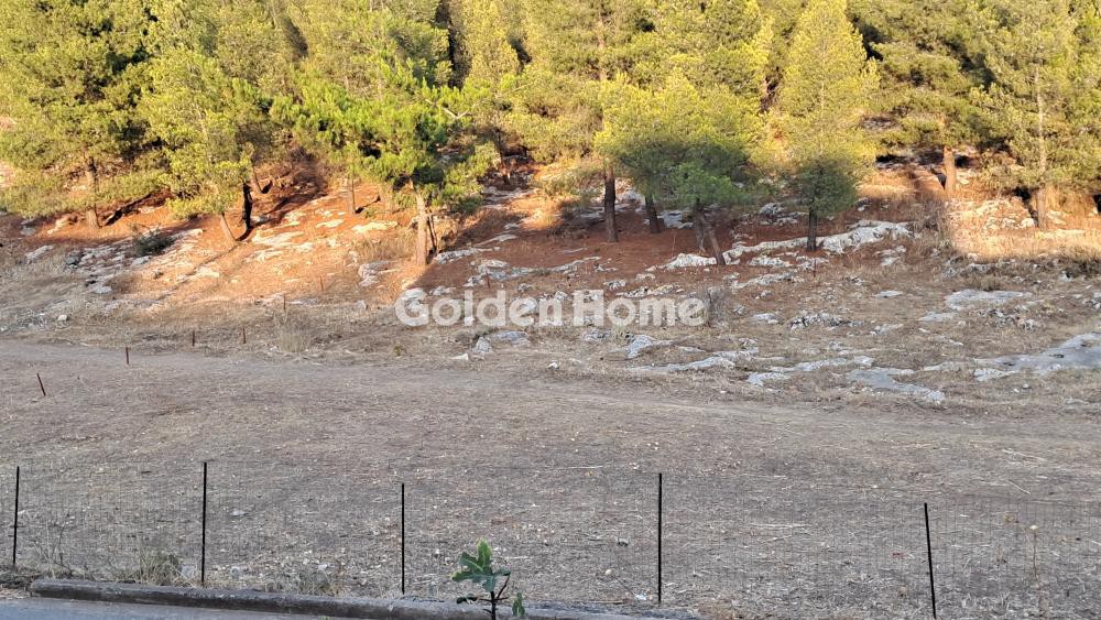 Οικόπεδο 1.242 τ.μ. πρός πώληση, Φωκίδα, Γαλαξίδι