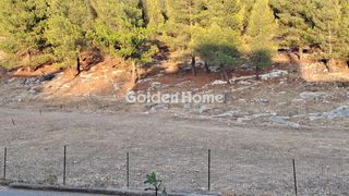 Οικόπεδο 1.242 τ.μ. πρός πώληση, Φωκίδα, Γαλαξίδι-thumb-1