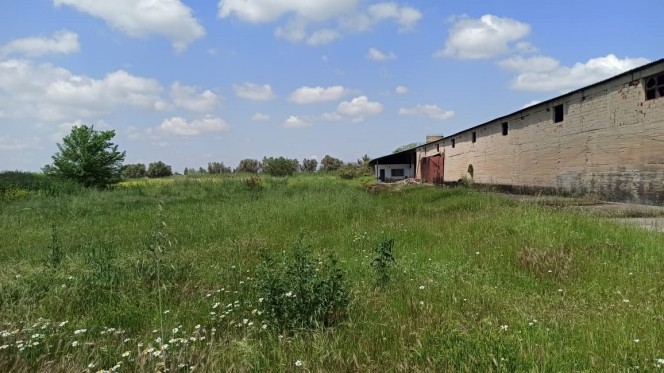 Αγροτεμάχια 6.350 τ.μ. πρός ενοικίαση, Θεσσαλονίκη - Περιφ/Κοί Δήμοι, Εχέδωρος
