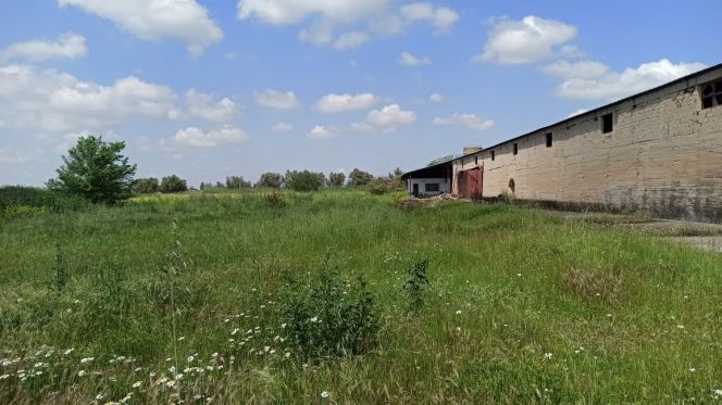 Αγροτεμάχια 6.350 τ.μ. για ενοικίαση, Θεσσαλονίκη - Περιφ/Κοί Δήμοι, Εχέδωρος