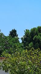 Διαμέρισμα 103 τ.μ. για ενοικίαση, Φωκίδα, Ιτέα-thumb-20
