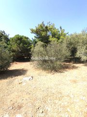Οικόπεδο 911 τ.μ. για πώληση