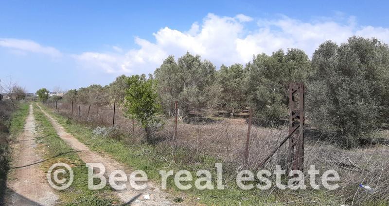 Αγροτεμάχια 24.000 τ.μ. πρός πώληση, Θεσσαλονίκη - Περιφ/Κοί Δήμοι, Πυλαία