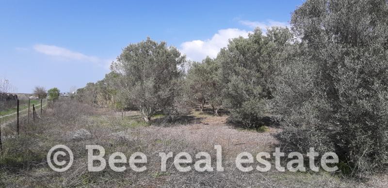 Αγροτεμάχια 24.000 τ.μ. πρός πώληση, Θεσσαλονίκη - Περιφ/Κοί Δήμοι, Πυλαία