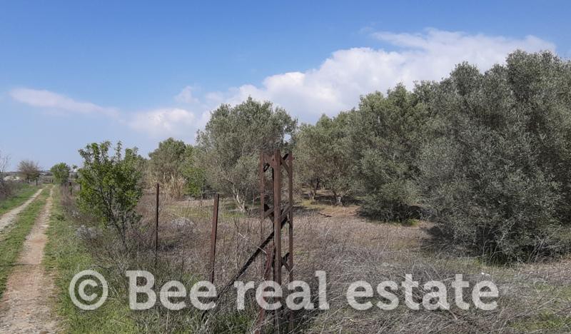 Αγροτεμάχια 24.000 τ.μ. πρός πώληση, Θεσσαλονίκη - Περιφ/Κοί Δήμοι, Πυλαία