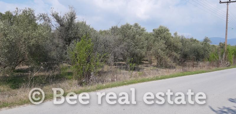 Αγροτεμάχια 24.000 τ.μ. πρός πώληση, Θεσσαλονίκη - Περιφ/Κοί Δήμοι, Πυλαία