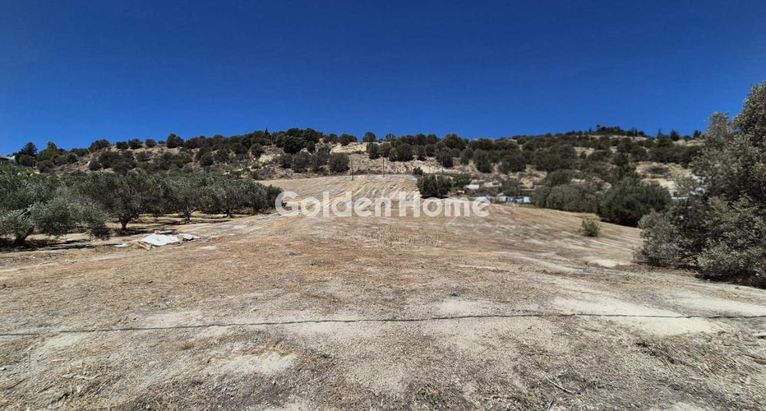Land plot 12.000 sqm for sale, Heraklion Prefecture, Heraclion Cretes