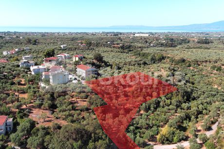 Οικόπεδο 4.806,63τ.μ. για πώληση-Καλαμάτα