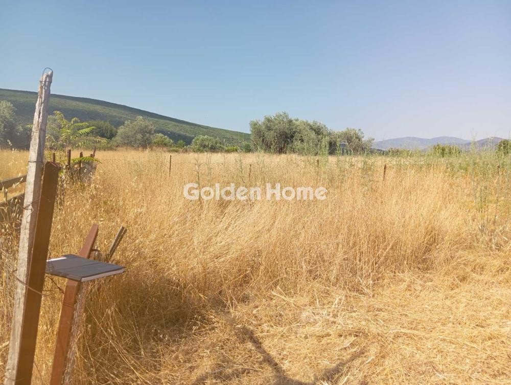 Αποθήκη 700 τ.μ. προς πώληση, Κέντρο Δαύλειας