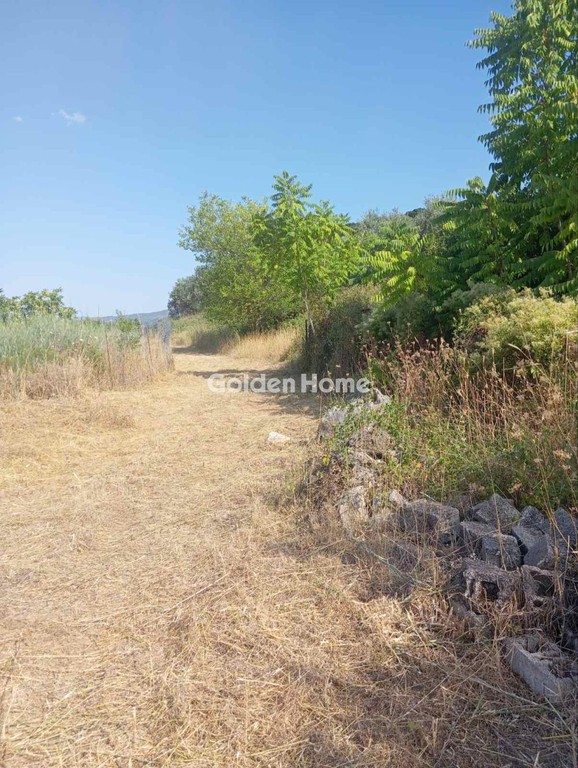 Αποθήκη 700 τ.μ. προς πώληση, Κέντρο Δαύλειας