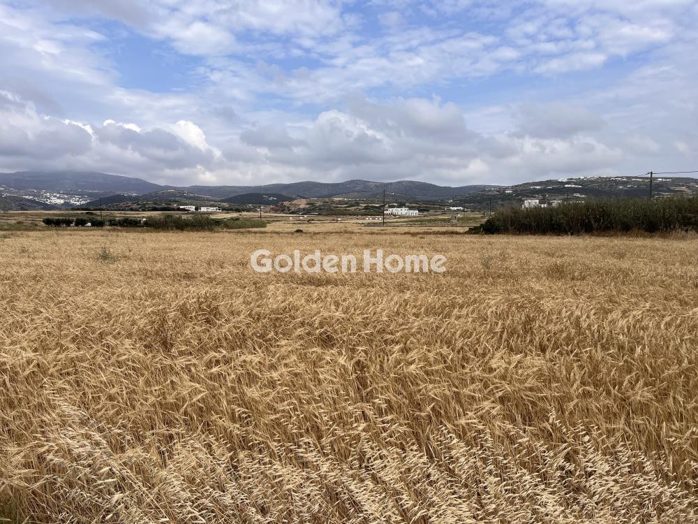 Αγροτεμάχια 9.350 τ.μ. προς πώληση, Γλυφάδες