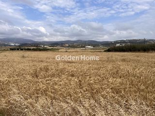Αγροτεμάχια 9.350 τ.μ. για πώληση