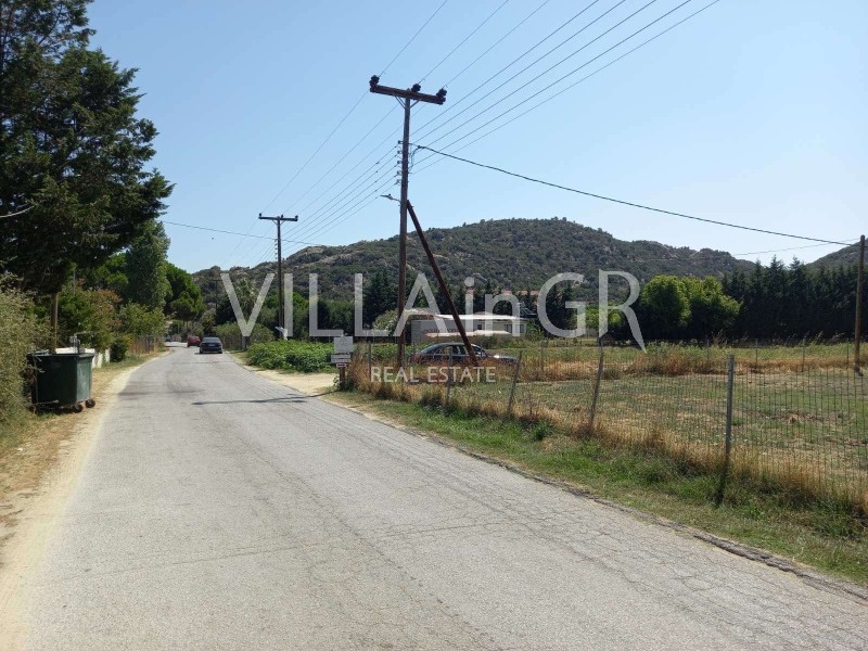 Αγροτεμάχια 1.950 τ.μ. πρός πώληση, Χαλκιδική, Τορώνη